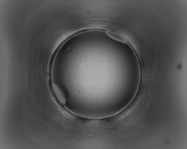 X0000093611093200710221602