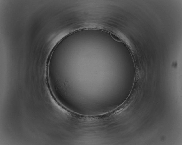 X0000093611095200710221602