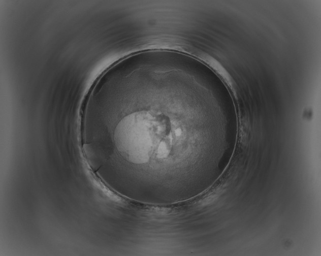 X0000093611096200710221602