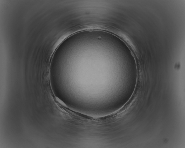 X0000093611097200710221602
