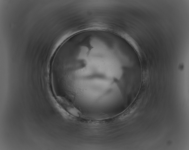 X0000093611099200710221602