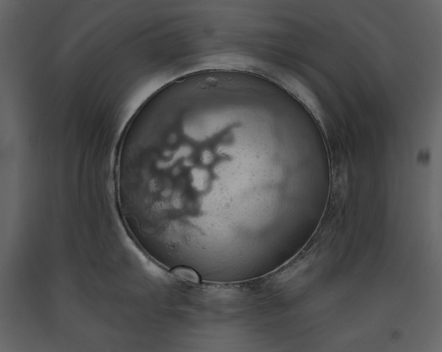 X0000093611103200710221602