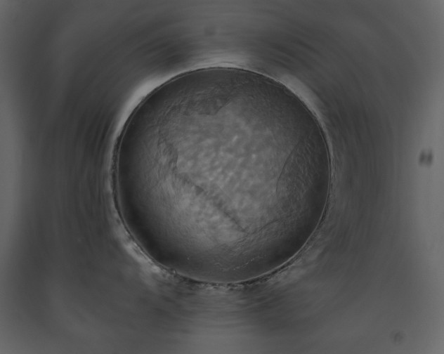 X0000093611104200710221602