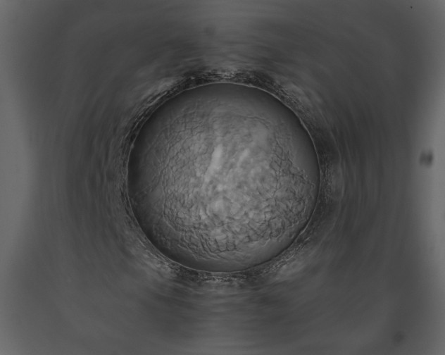 X0000093611105200710221601