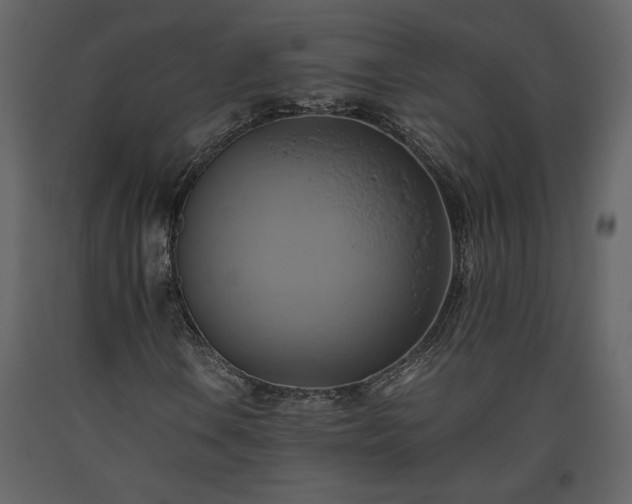 X0000093611106200710221601