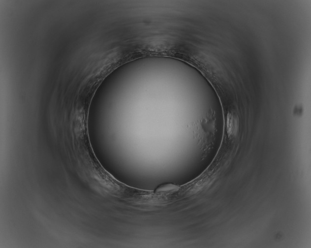 X0000093611107200710221601