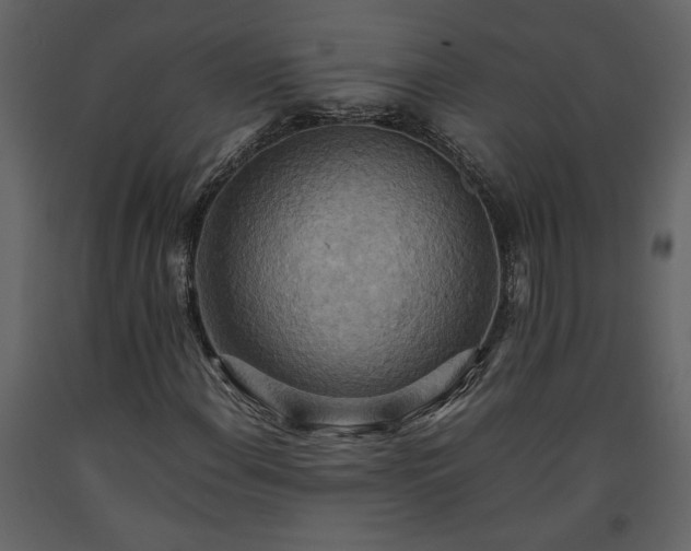 X0000093611108200710221601