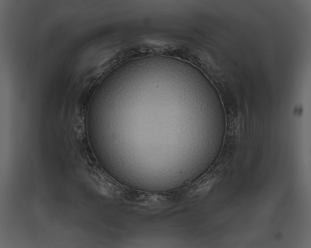 X0000093611109200710221601