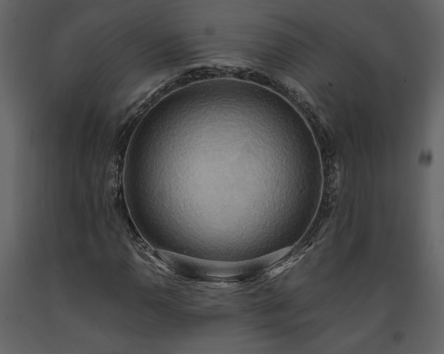 X0000093611110200710221601