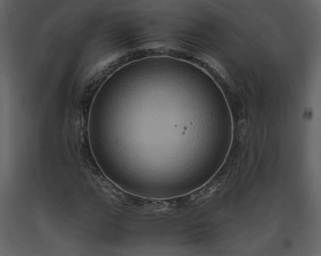 X0000093611111200710221601