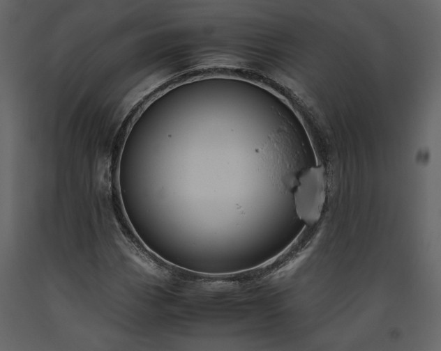 X0000093611113200710221601