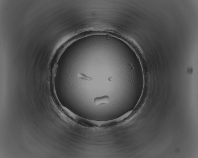X0000093611114200710221601