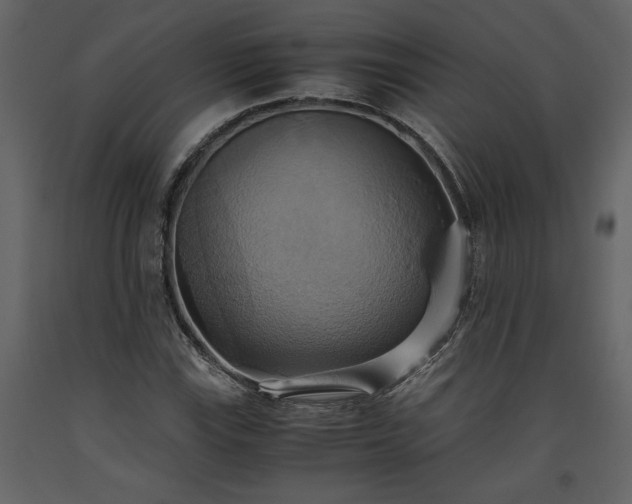 X0000093611115200710221601