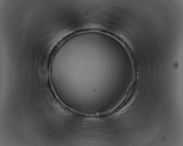 X0000093611117200710221601