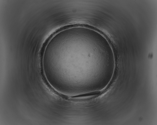 X0000093611118200710221601