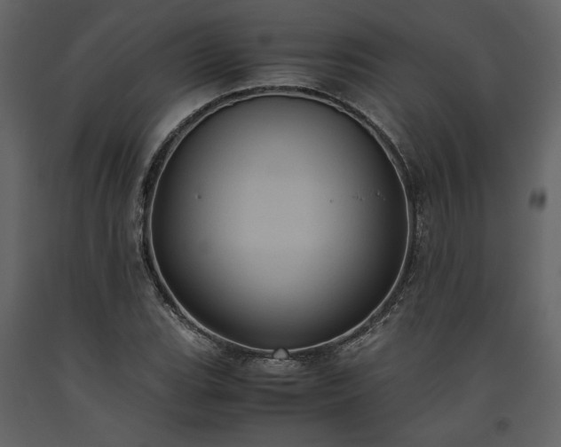 X0000093611119200710221601