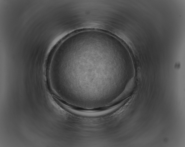 X0000093611120200710221601