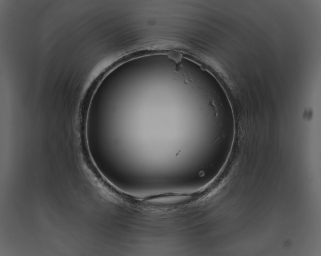 X0000093611122200710221601