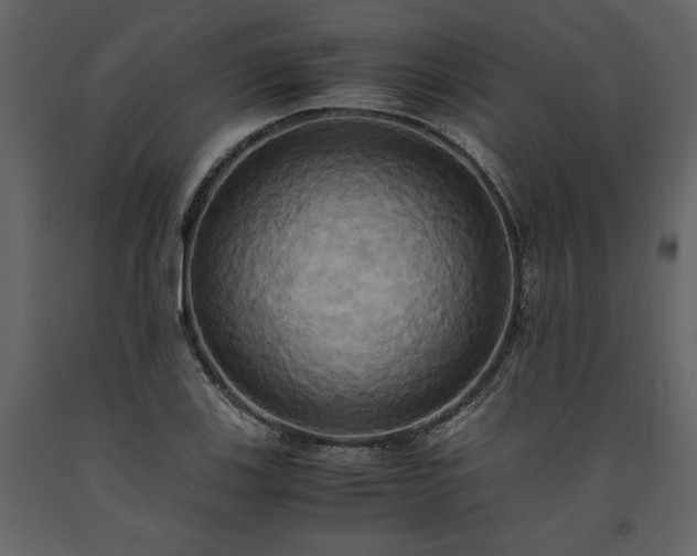 X0000093611123200710221601
