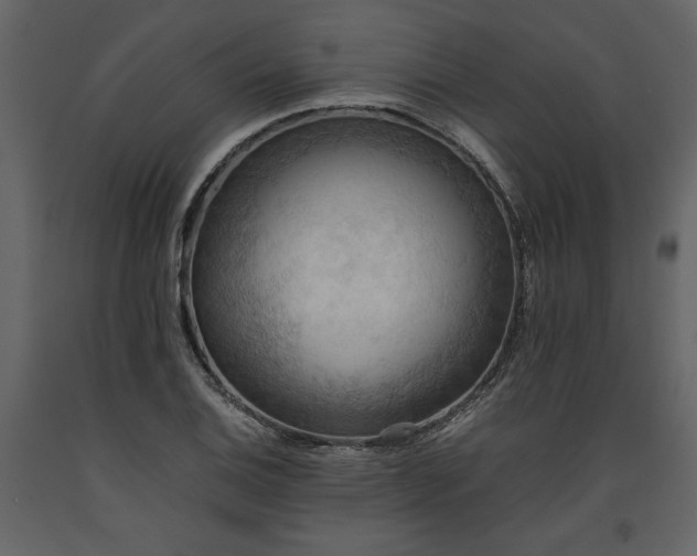 X0000093611124200710221601