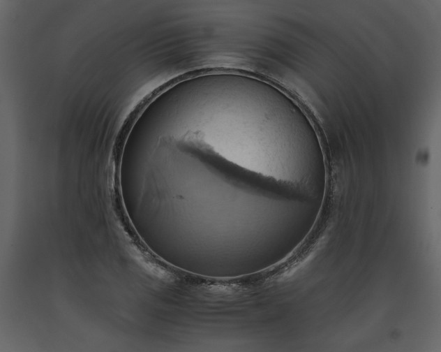 X0000093611125200710221601