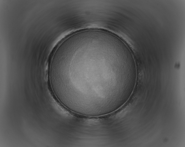 X0000093611126200710221601
