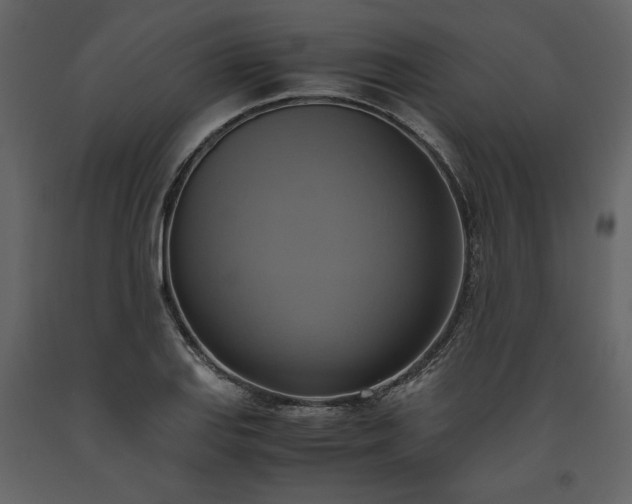 X0000093611127200710221601
