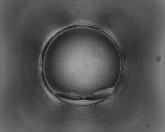 X0000093611128200710221601