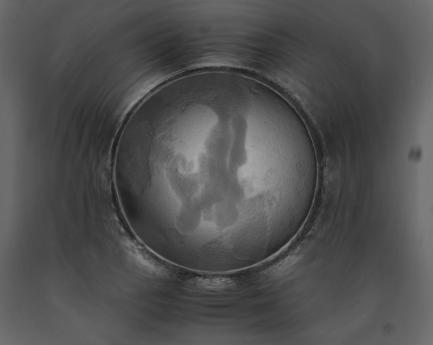 X0000093611129200710221601