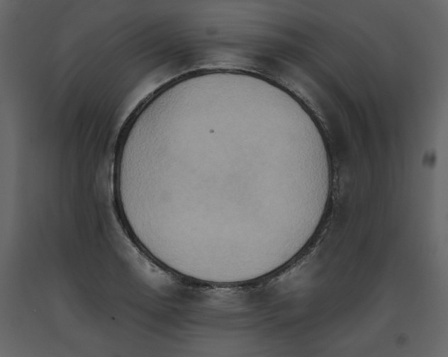 X0000093611130200710221601