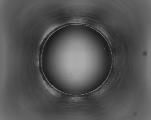 X0000093611131200710221601