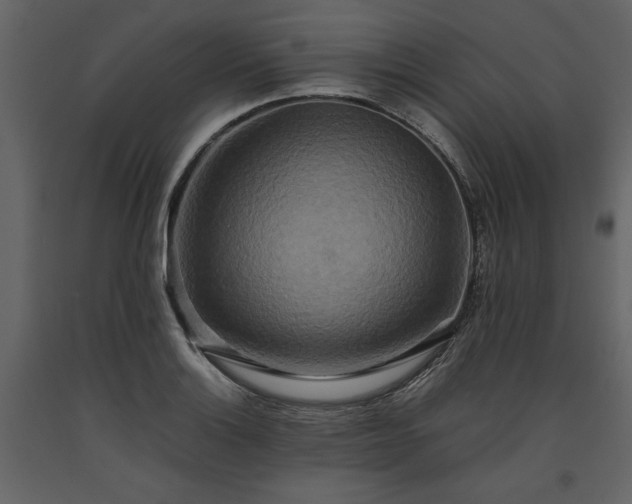 X0000093611132200710221601