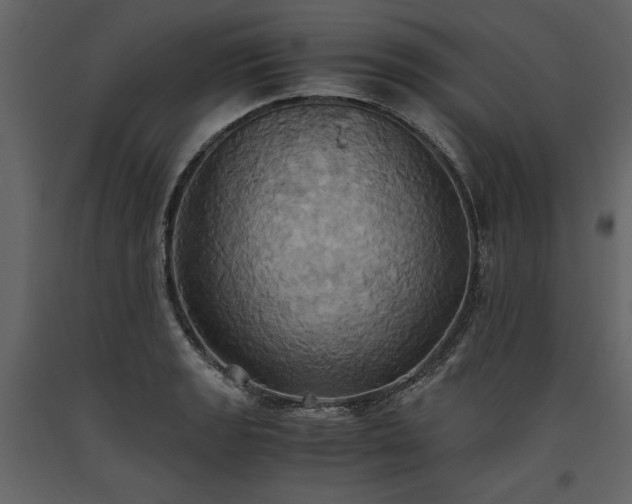 X0000093611133200710221601