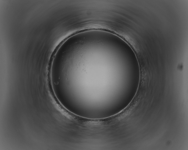 X0000093611134200710221601