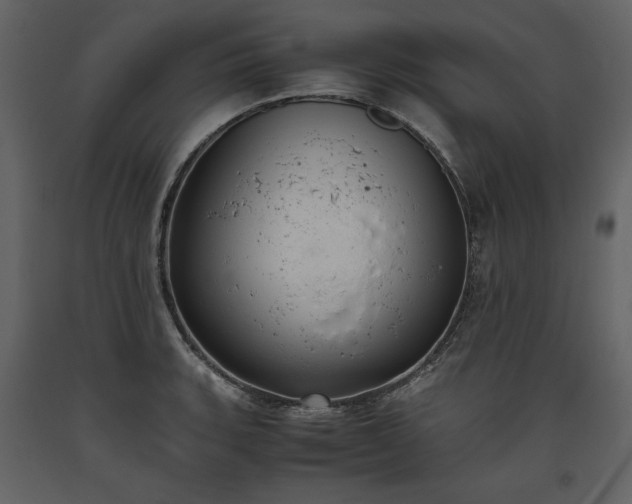 X0000093611135200710221601