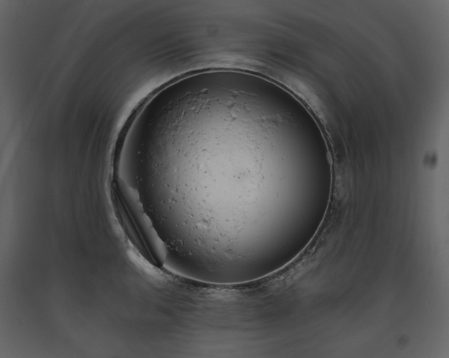 X0000093611136200710221602