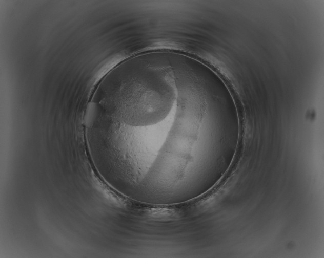 X0000093611137200710221602