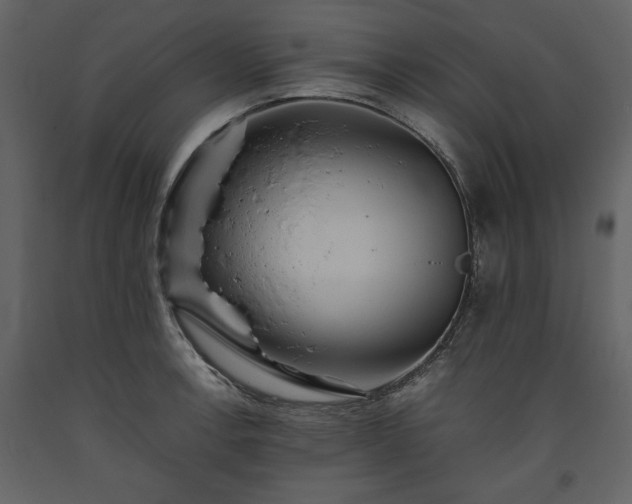 X0000093611138200710221602