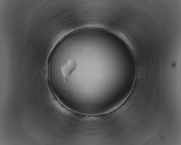 X0000093611140200710221602