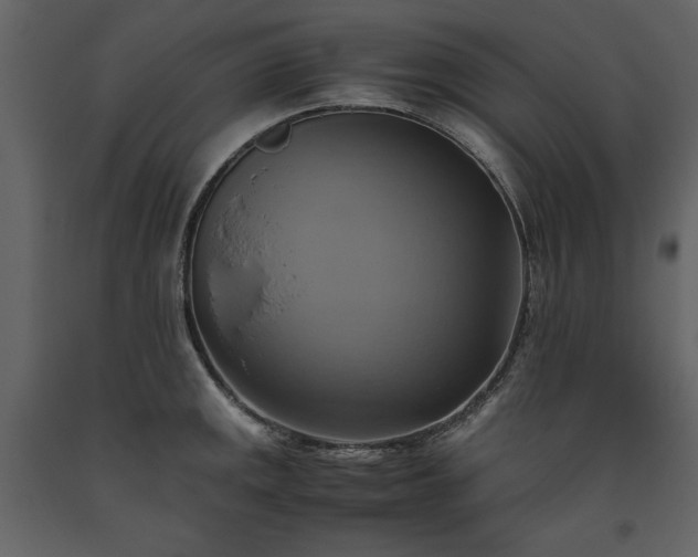 X0000093611141200710221602