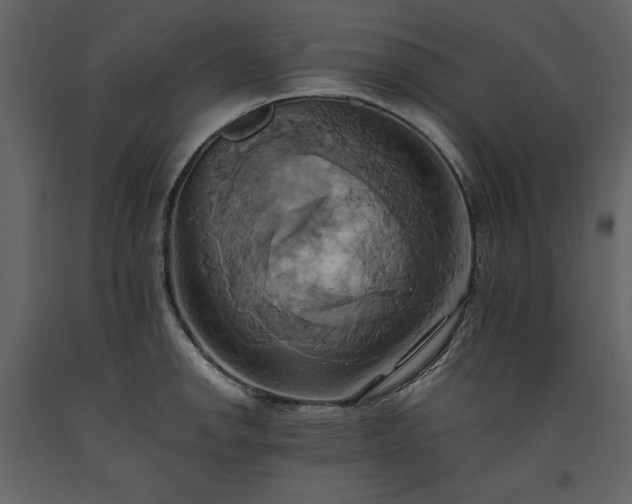X0000093611142200710221602
