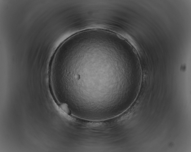 X0000093611143200710221602