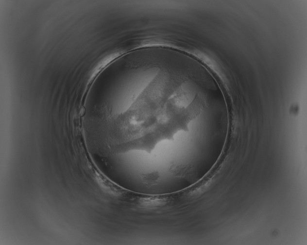 X0000093611145200710221602