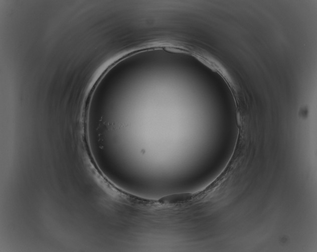 X0000093611148200710221602