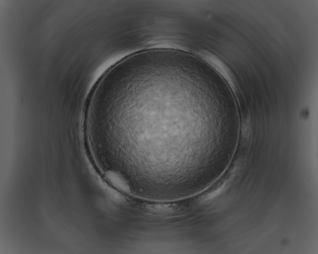 X0000093611149200710221602