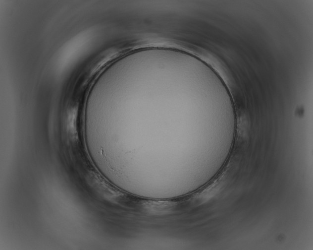 X0000093611150200710221602