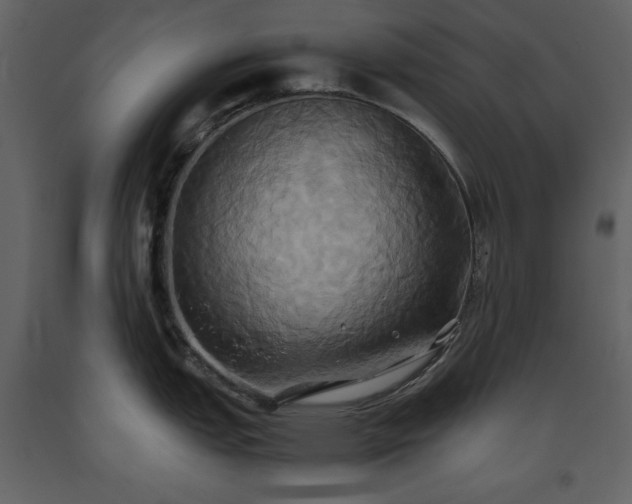 X0000093611151200710221602
