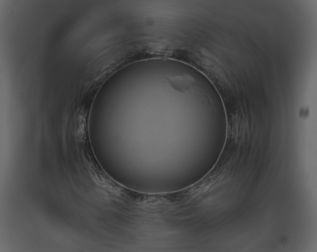 X0000093611154200710221601