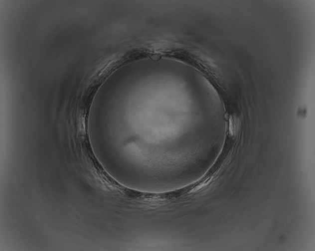 X0000093611155200710221601