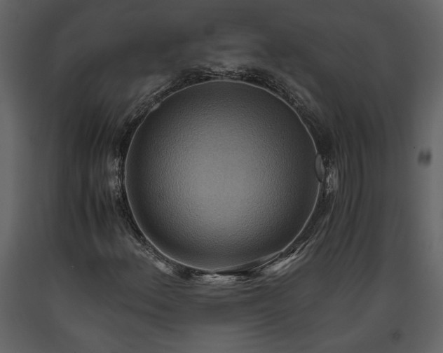 X0000093611156200710221601